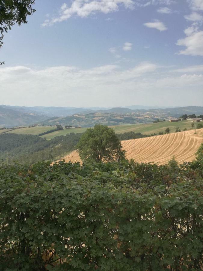 La Furbera B&B Marano sul Panaro Exteriör bild